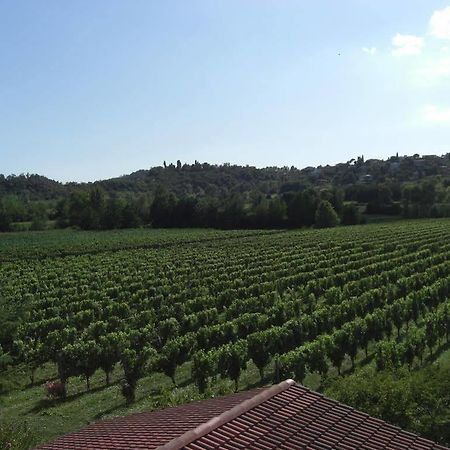 Il Vigneto Affittacamere Manerba del Garda Kültér fotó