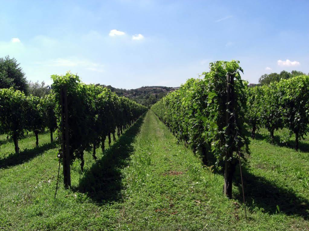 Il Vigneto Affittacamere Manerba del Garda Kültér fotó
