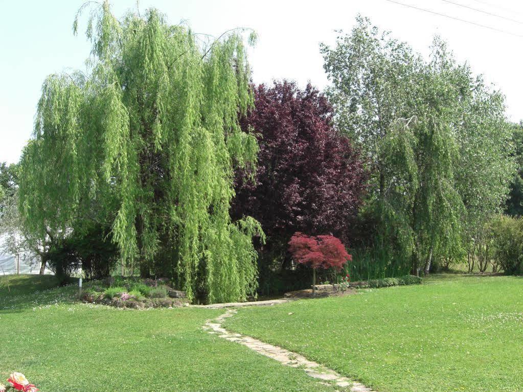 Il Vigneto Affittacamere Manerba del Garda Kültér fotó