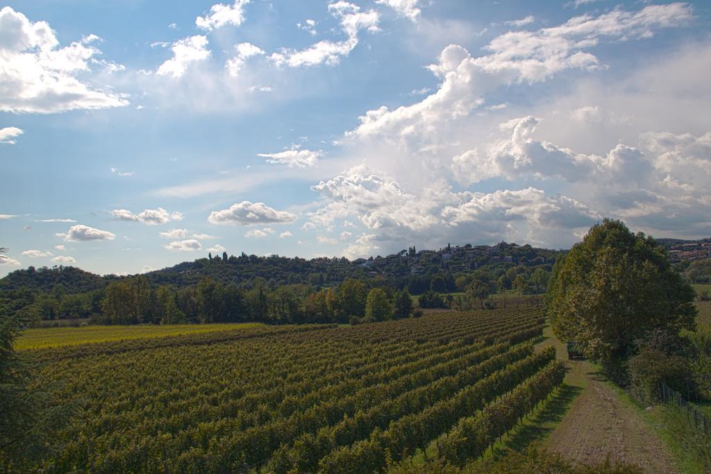 Il Vigneto Affittacamere Manerba del Garda Kültér fotó
